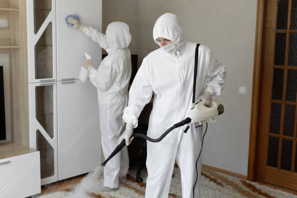 Asbestos and Lead Testing During Mold Inspection